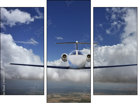 Executive in flight - Dreiteiliges Leinwandbild, Triptychon