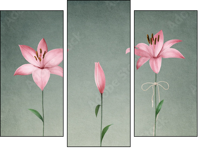 Three pink lily - Dreiteiliges Leinwandbild, Triptychon