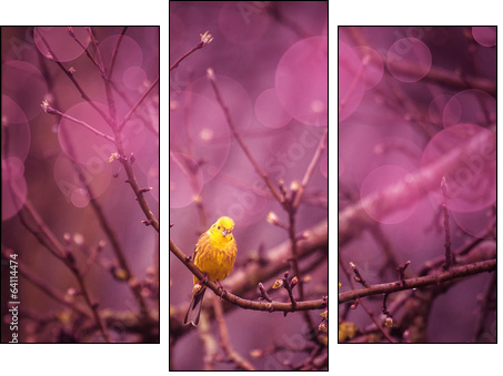 Yellowhammer siiting on a branch in a purple inviroment - Dreiteiliges Leinwandbild, Triptychon