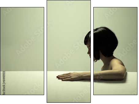 Fine art portrait of elegant girl. Studio photo. Beautiful woman - Dreiteiliges Leinwandbild, Triptychon