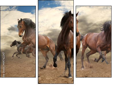 five indomitable bay horse galloping - Dreiteiliges Leinwandbild, Triptychon