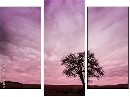 Tree Silhouette with Colorful Pink Sky - Dreiteiliges Leinwandbild, Triptychon