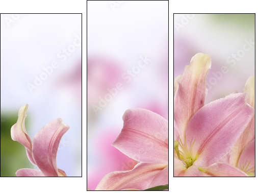Lily.Flower card - Dreiteiliges Leinwandbild, Triptychon