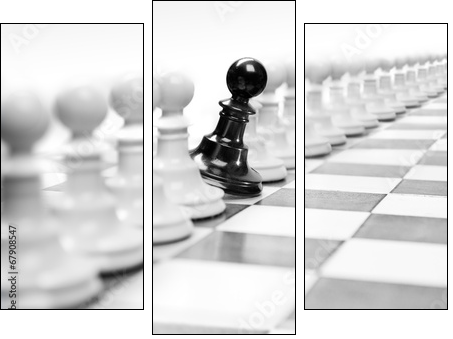 Only once in million - Dreiteiliges Leinwandbild, Triptychon