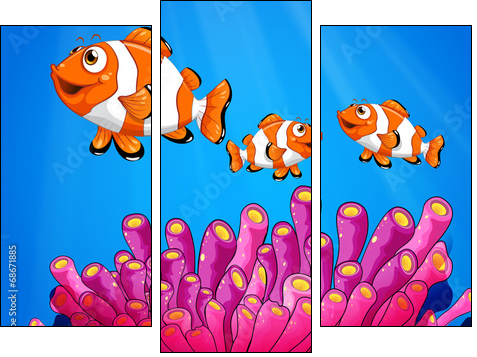 Clownfishes under the sea - Dreiteiliges Leinwandbild, Triptychon