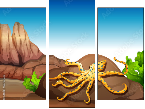 An octopus at the rock - Dreiteiliges Leinwandbild, Triptychon
