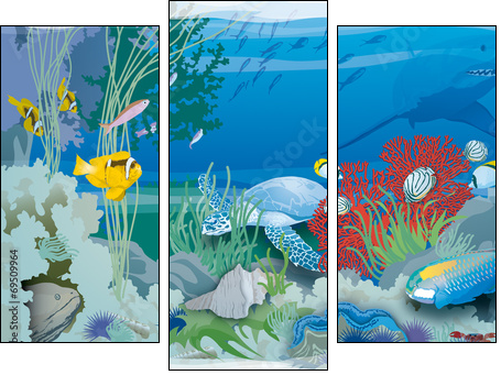 Atoll - EspÃ¨ces des coraux - Dreiteiliges Leinwandbild, Triptychon