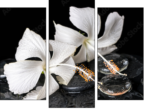 Beautiful cryogenic spa concept of delicate white hibiscus, zen - Dreiteiliges Leinwandbild, Triptychon