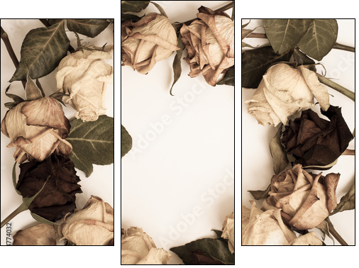 withered rose - Dreiteiliges Leinwandbild, Triptychon