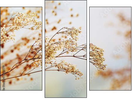 Dried flowers background - Dreiteiliges Leinwandbild, Triptychon
