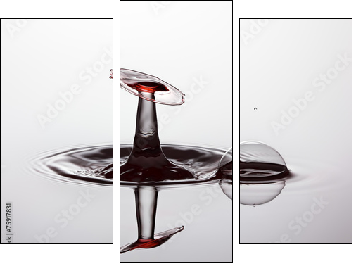 Water drop close up - Dreiteiliges Leinwandbild, Triptychon