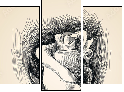 flower sketch - Dreiteiliges Leinwandbild, Triptychon