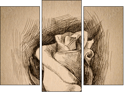 flower sketch - Dreiteiliges Leinwandbild, Triptychon