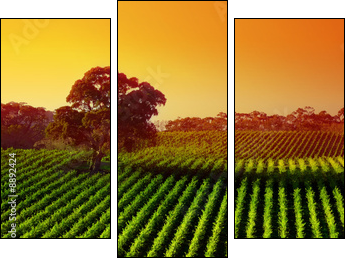 Beautiful Vineyard Landscape with large gum tree - Dreiteiliges Leinwandbild, Triptychon
