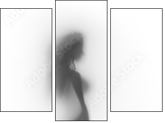 Sexy woman body silhouette - Dreiteiliges Leinwandbild, Triptychon