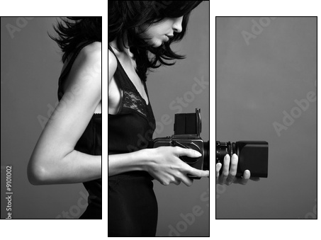 Fashion portrait of young photographing lady - Dreiteiliges Leinwandbild, Triptychon