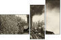 11284076