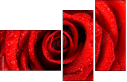 112923652