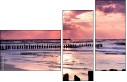 22254013