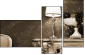 25666505