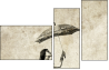 30497770