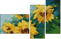33565665