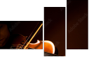 44605714