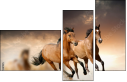 45981925