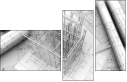 4616556