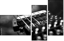 47683741