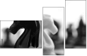 49013321