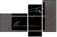 50163980