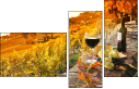 50713543