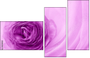 52109021