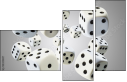 52325487