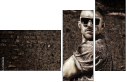 59261844