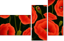 64821989