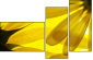 6606588