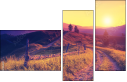 67236047