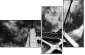 998443