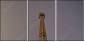 10023302