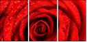 112923652