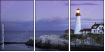 16967961