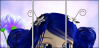 22659722