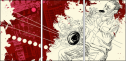 23706243