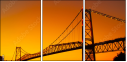 293004009