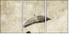 30497770