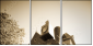 34463140