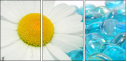 38339114