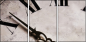 3950638